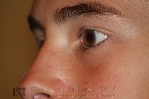 Sguardi